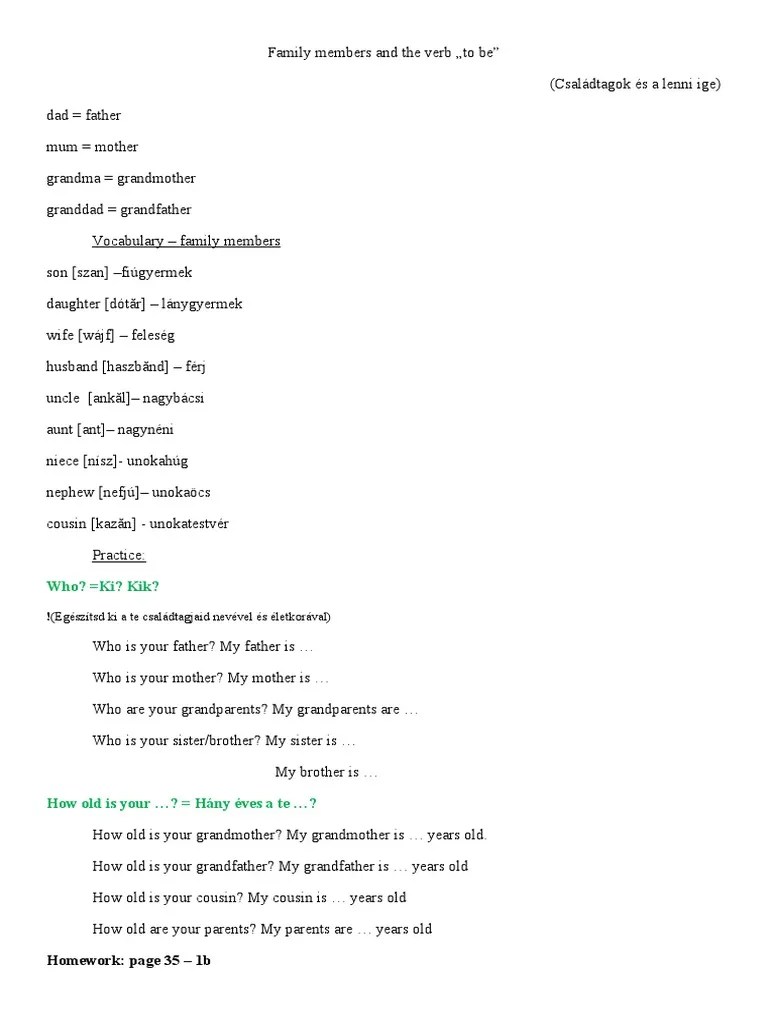 Family Members and The Verb To Be PDF