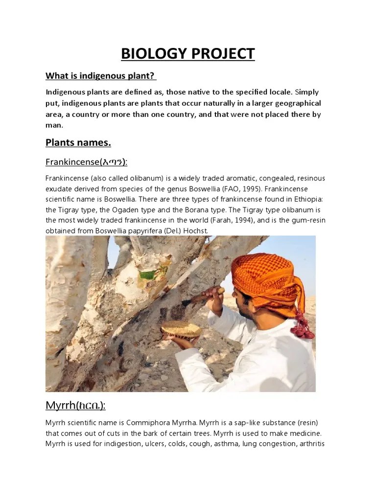 Biology Project PDF Coriander Plants