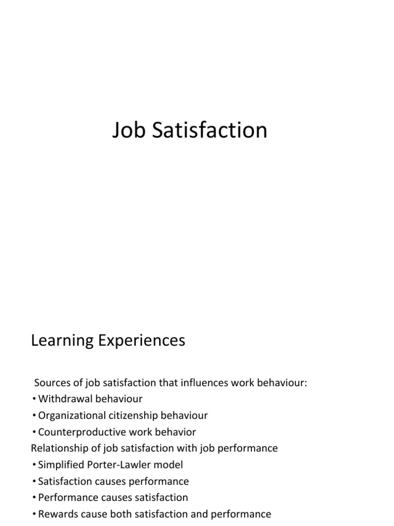 Job Satisfaction PDF Job Satisfaction Motivational