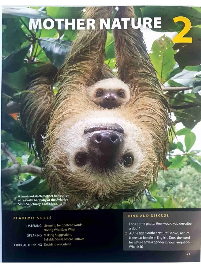 Pathways 3 Listening, Speaking, and Critical Thinking | PDF