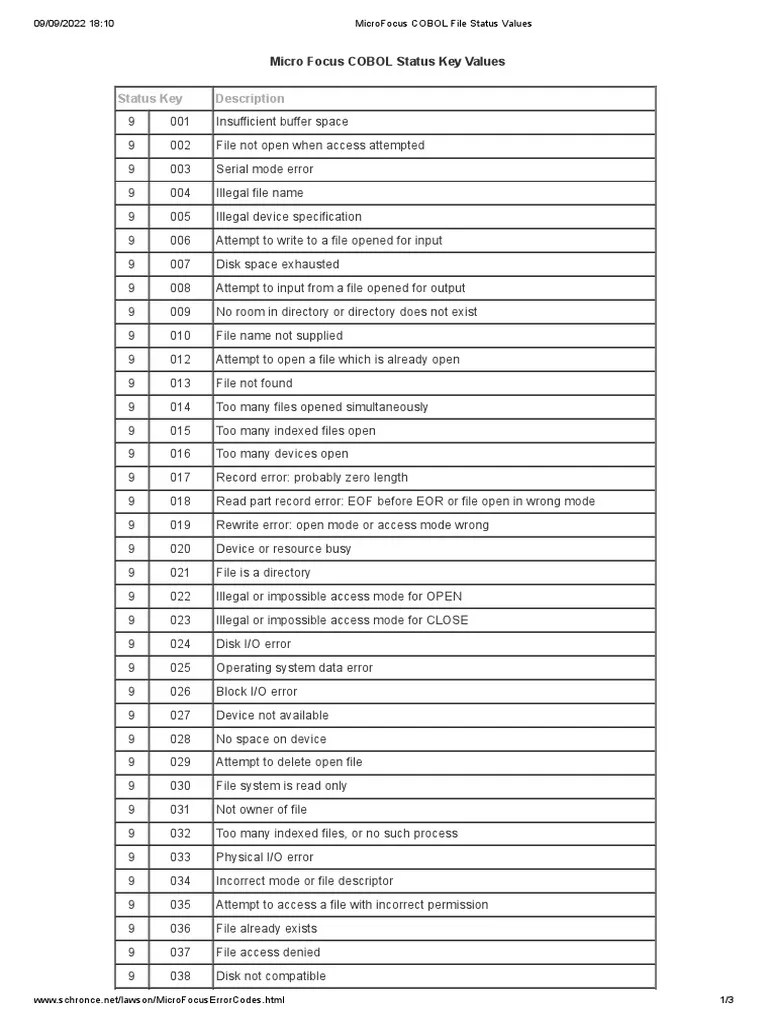 MicroFocus COBOL File Status Values PDF Computer File Input/Output