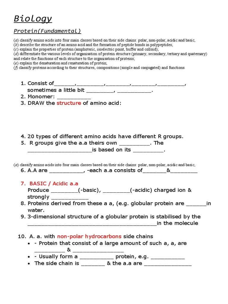 STPM Syllabus Protein PDF Proteins Protein Structure