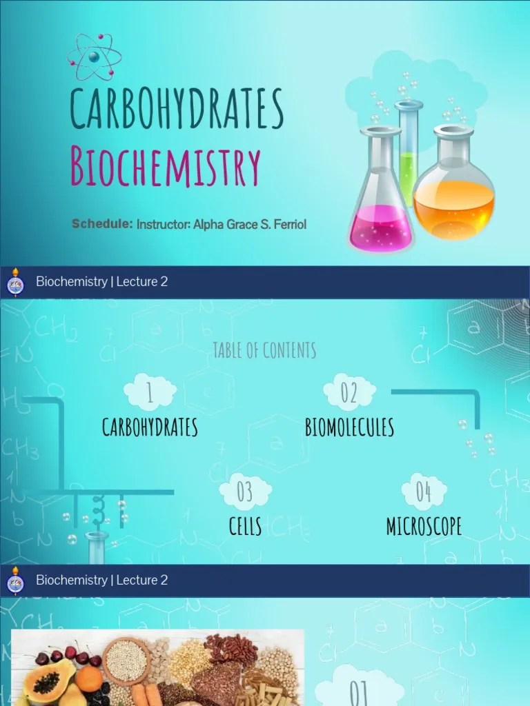 CARBOHYDRATES PDF Carbohydrates Biochemistry