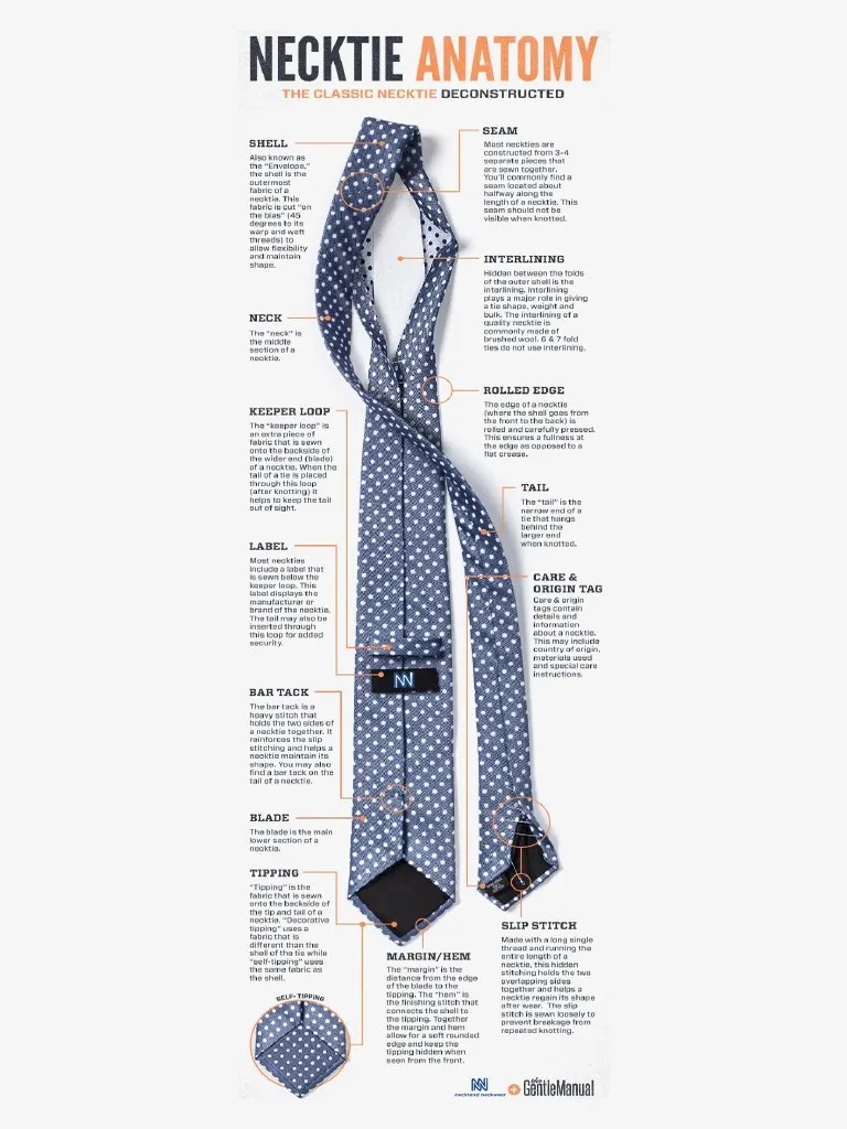 Necktie Anatomy PDF