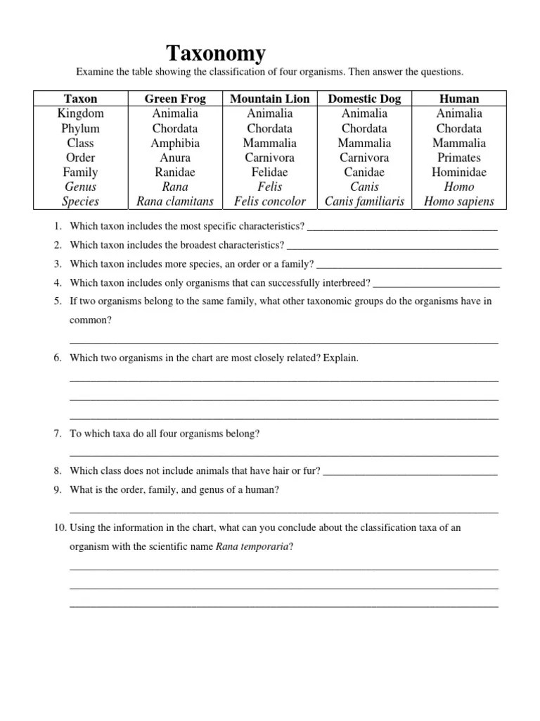 Taxonomy Worksheet PDF Taxonomy (Biology) Genus