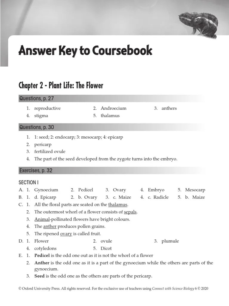 Answers Class 6 Phy PDF Flowers Seed
