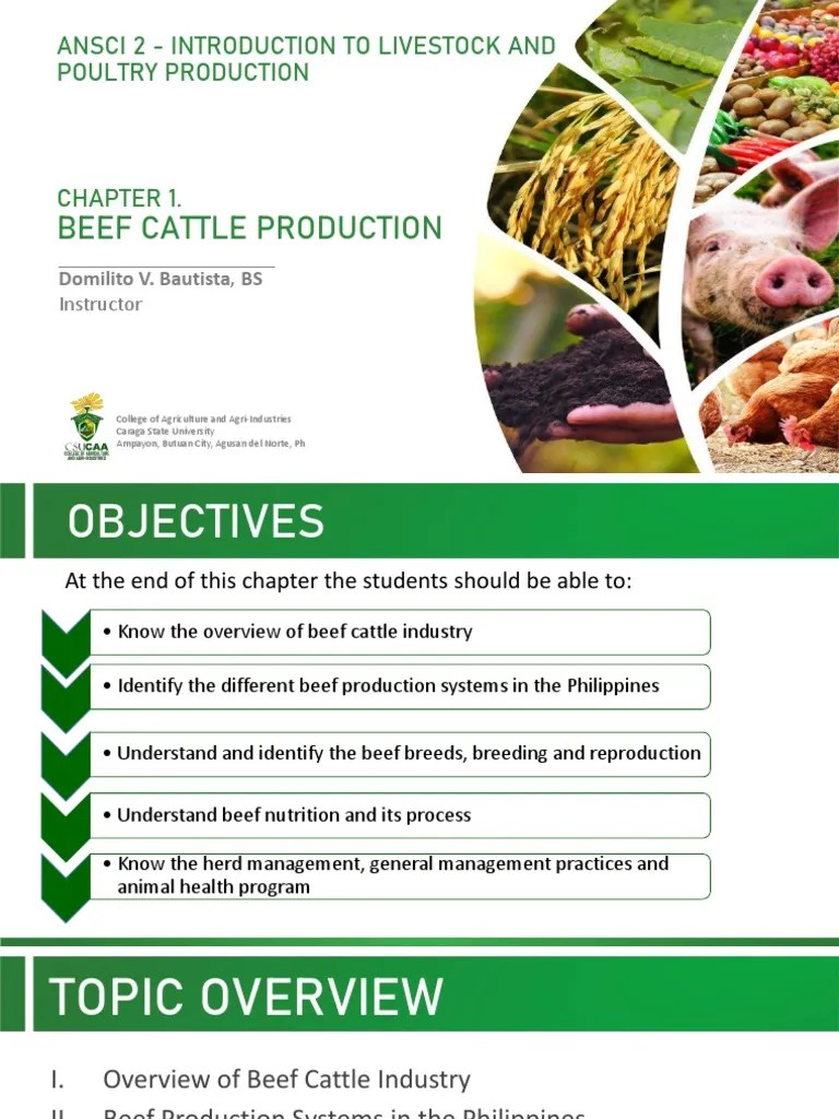 Overview of The Beef Cattle Industry PDF