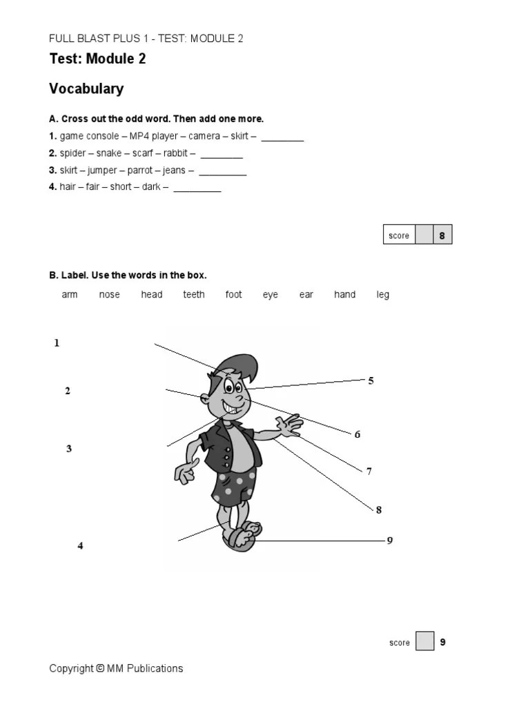 Full Blast PLUS 1 Test 2 PDF Linguistic Typology Language Families