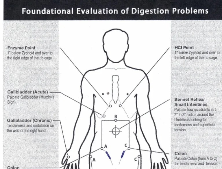 Acid Reflux Points PDF