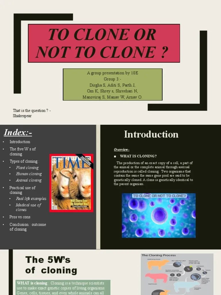 To Clone or Not To Clone PDF Cloning Biology