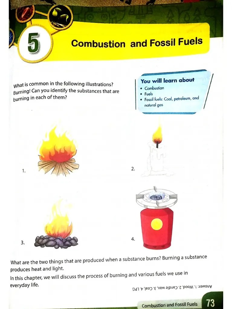 Combustion and Fossil Fuels Lesson PDF