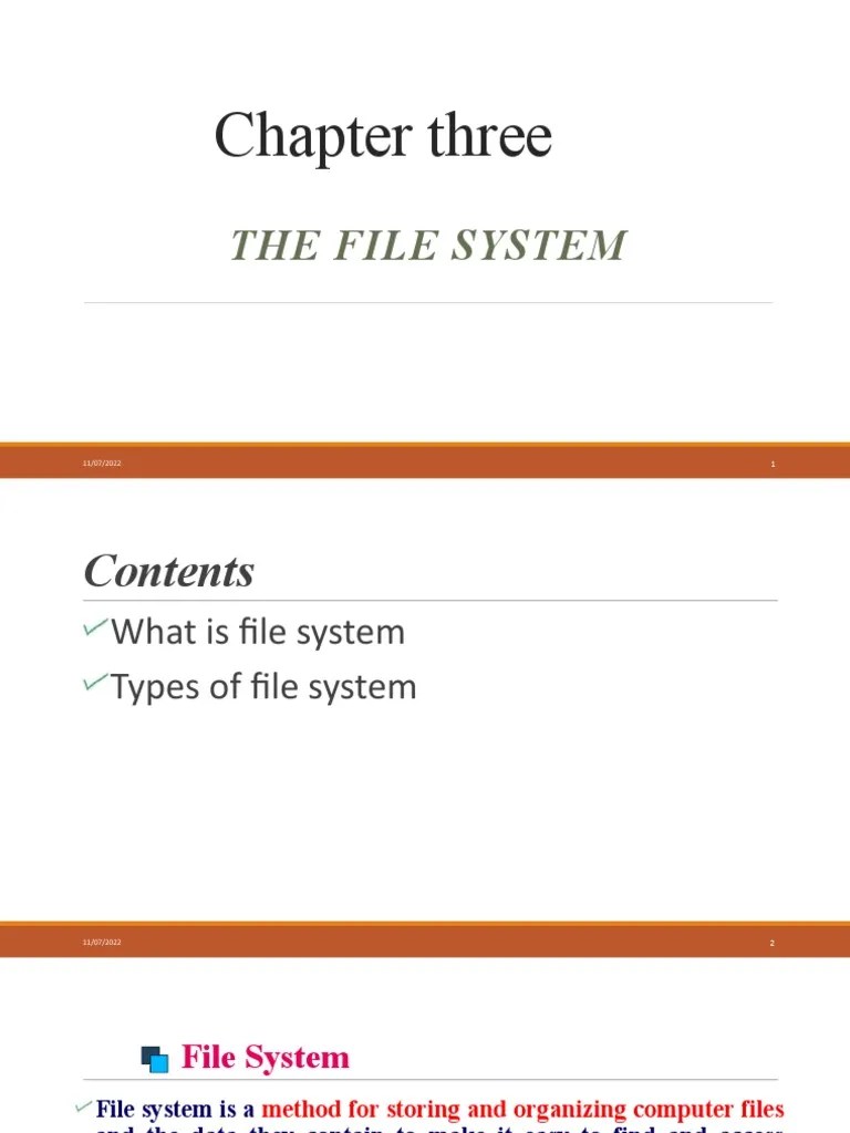 Chapter 3 The File System PDF File System Computer File
