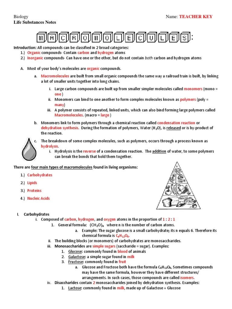 Building Macromolecules - Teacher Notes and Review Questions Answer Key