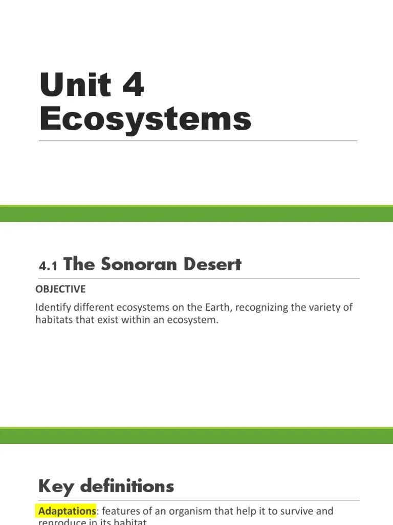 Unit 4 Ecosystems PDF Desert Flowers
