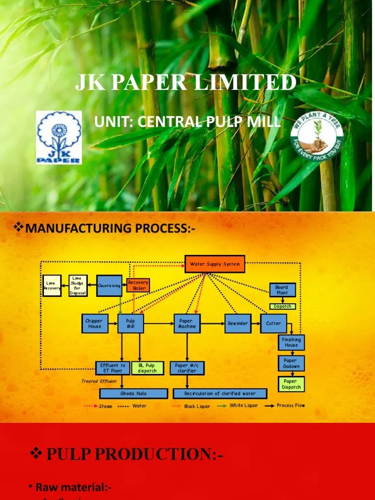 JK Paper Limited Hehe PDF Pulp (Paper) Paper