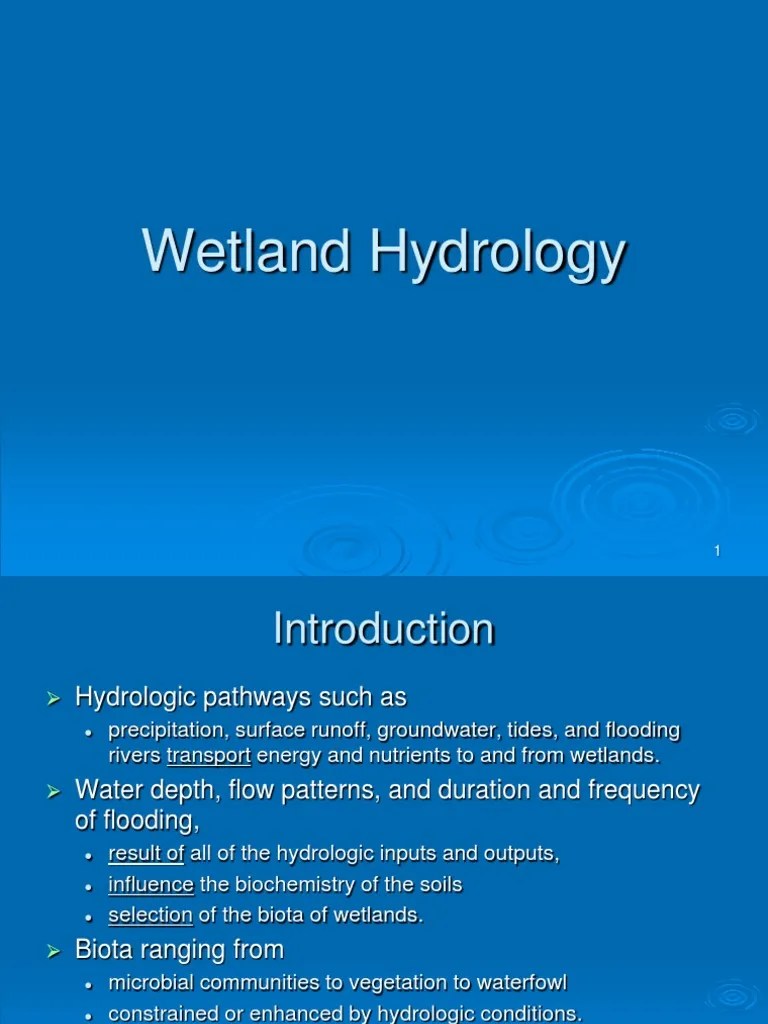 Hydrology PDF Wetland Evapotranspiration