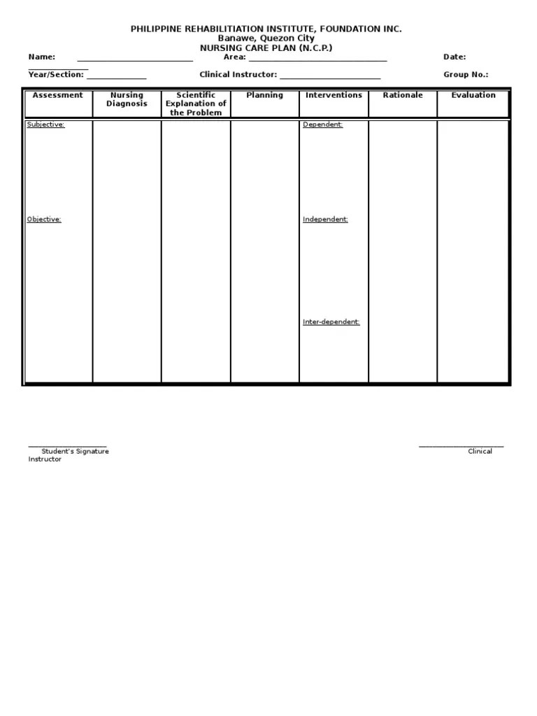 Nursing Care Plan Format PDF