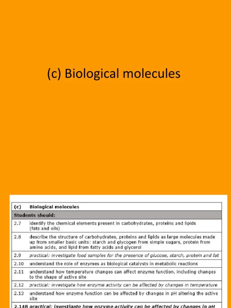 IGCSE 2c Biological Molecules Vrs 2 PDF