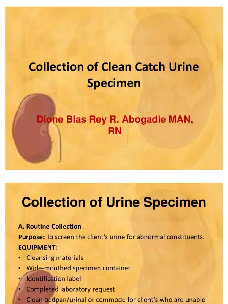 Collection of Clean Catch Urine Specimen Urine Urination Free 30