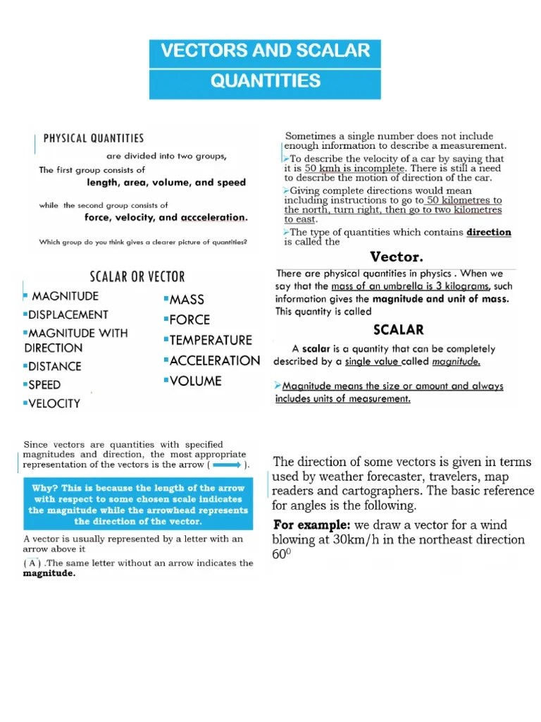 Vector and Scalar PDF