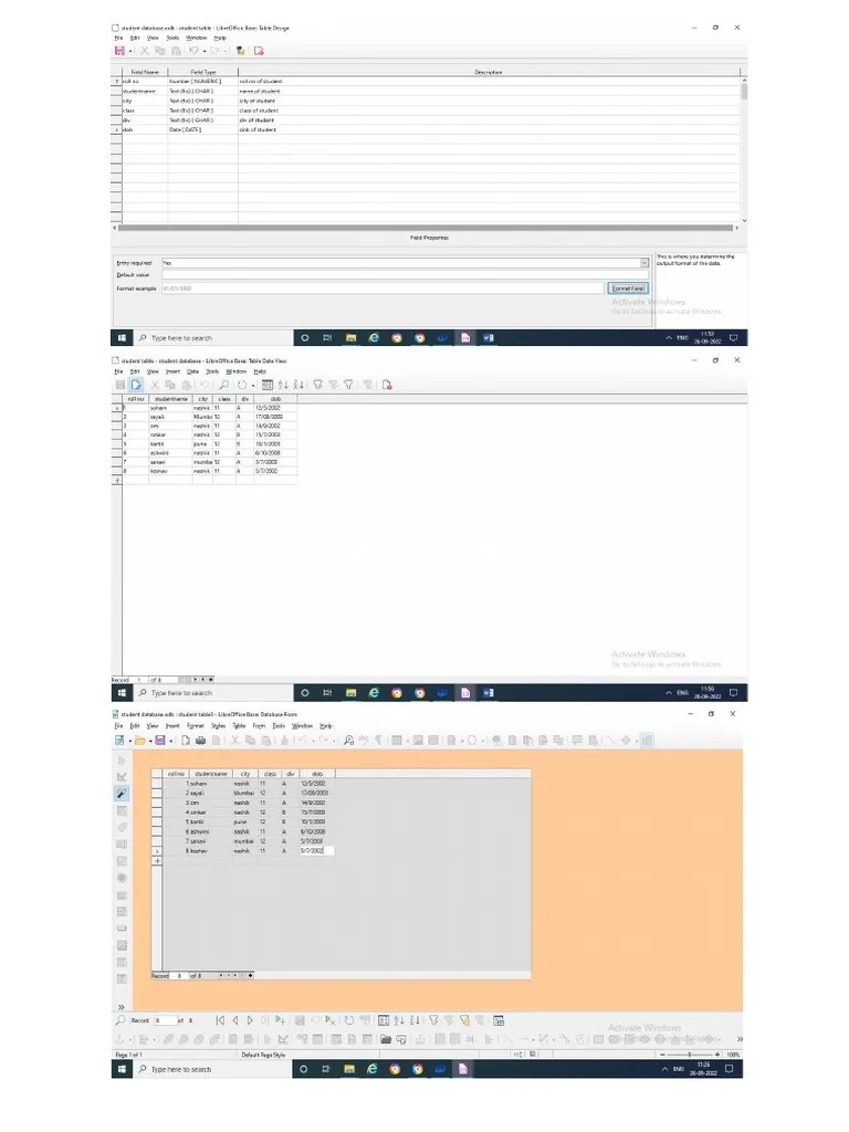 Database Concepts Using Libreoffice Base PDF