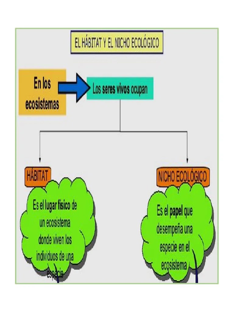 Habitat y Nicho Ecologico PDF Aves
