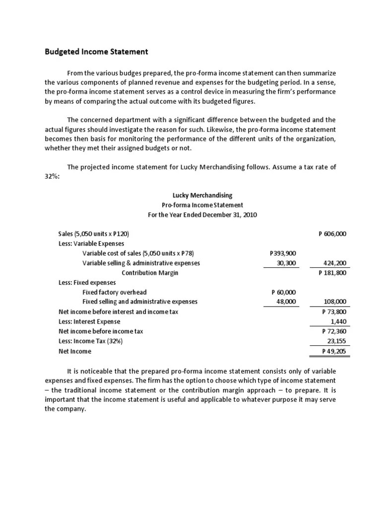 Budgeted Statement and Balance Sheet PDF Balance Sheet