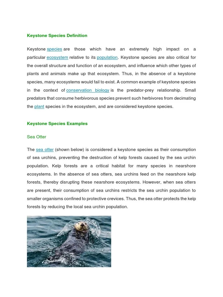 Keystone Species Definition and Examples PDF