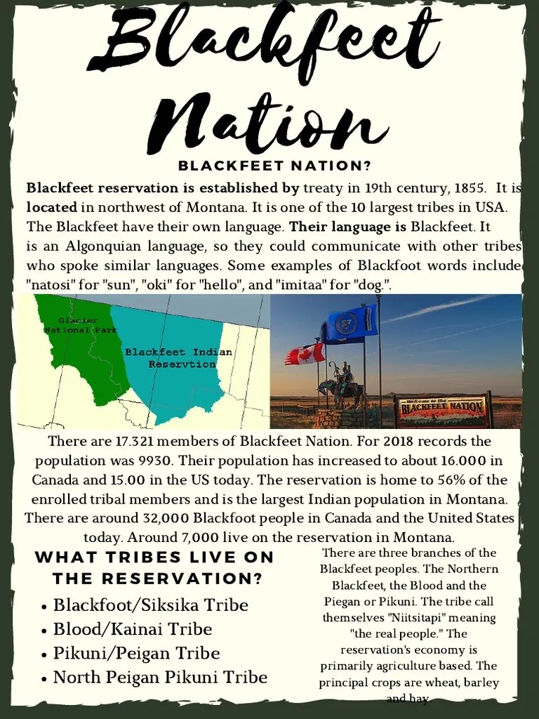 Blackfeet Nation PDF Blackfoot Confederacy Great Lakes Tribes
