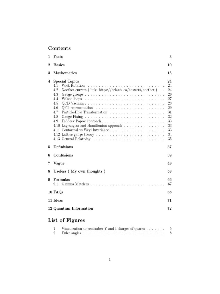 Notes PDF Gauge Theory Noether's Theorem