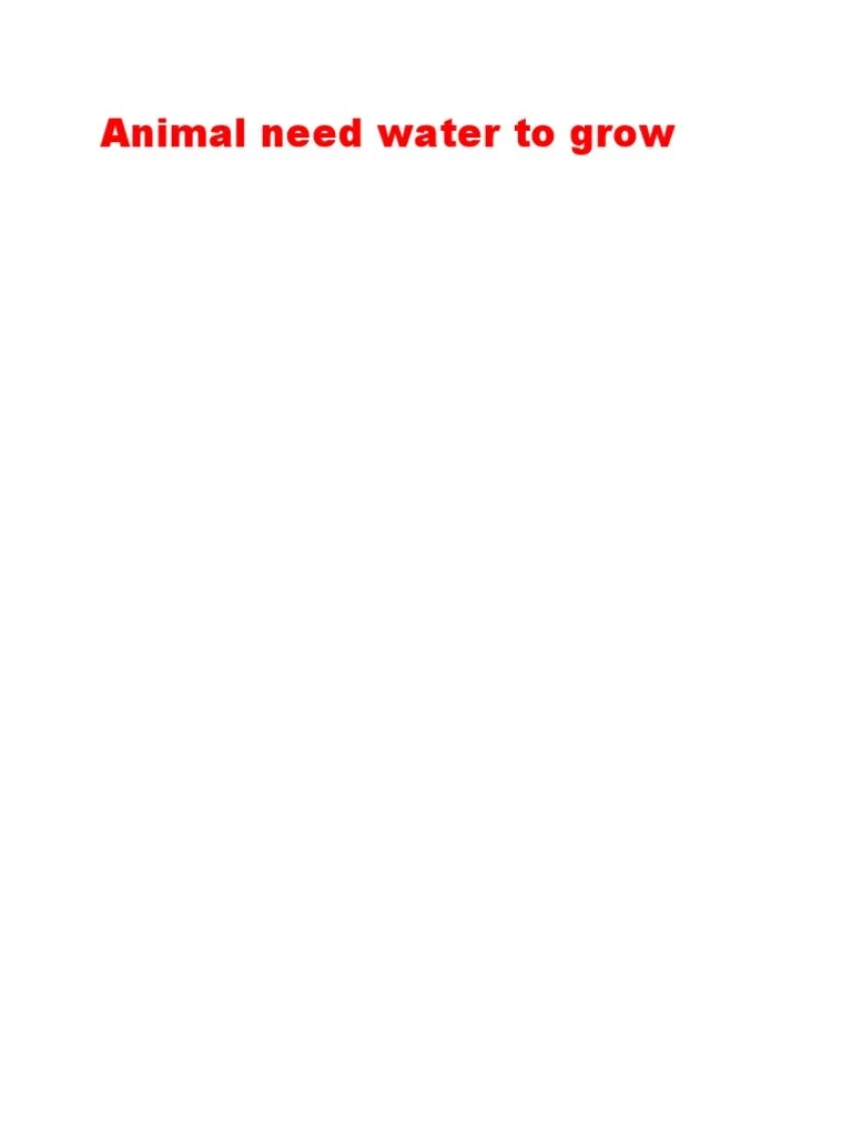 Animal Need Water To Grow PDF