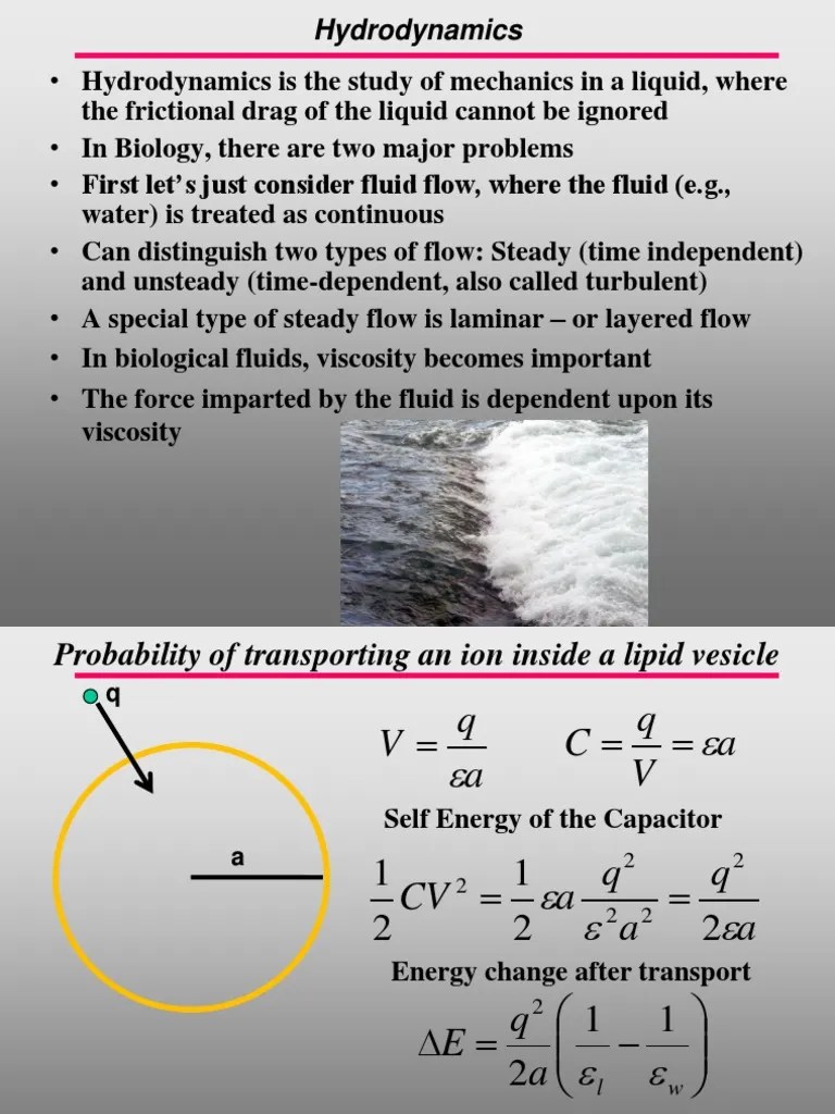 Hydrodynamics PDF Fluid Dynamics Solvation