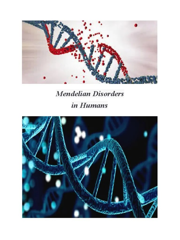 Mendelian Disorders in Humans PDF Disorder Dominance