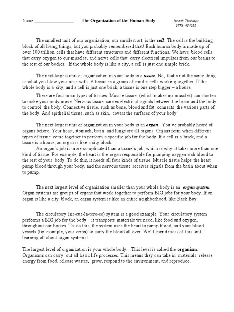 Organization of The Human Body | PDF | Human Body | Tissue (Biology)