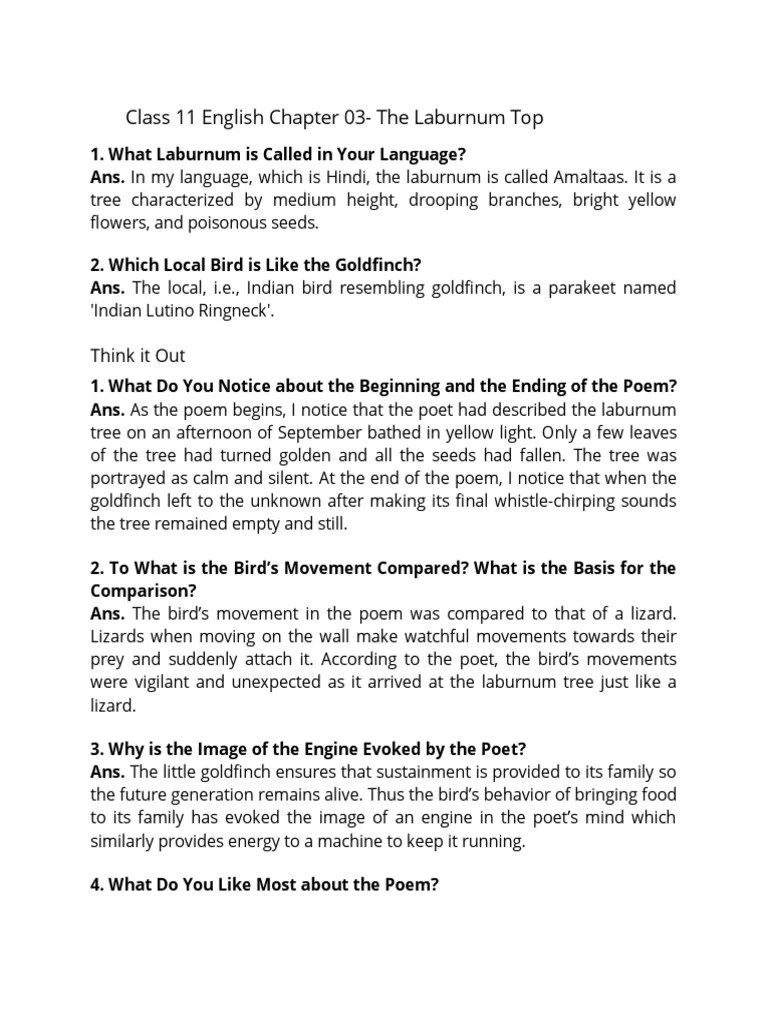 The Laburnum Top Notes PDF