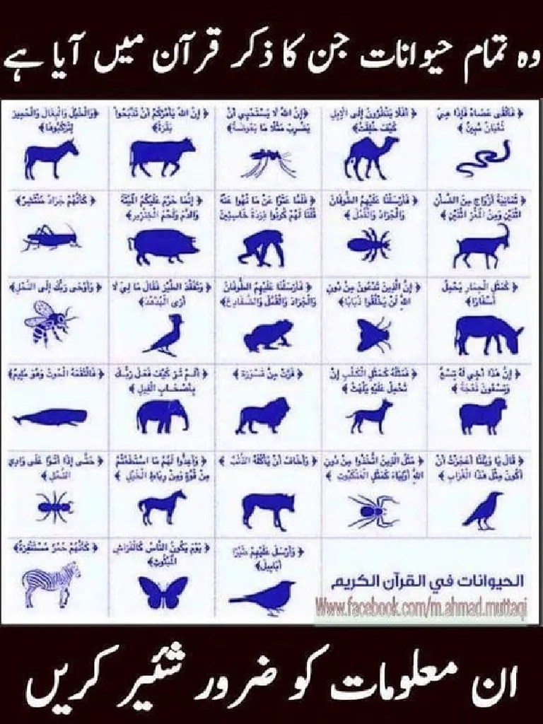 Animals in Quran PDF