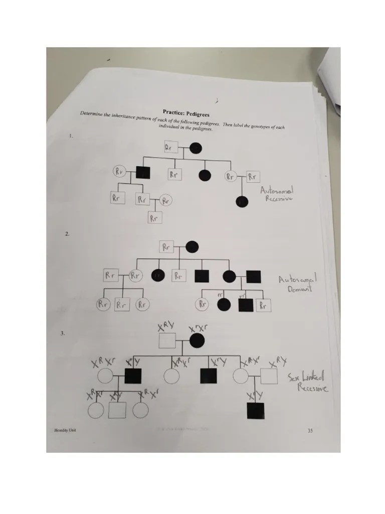 Practice - Pedigree | PDF