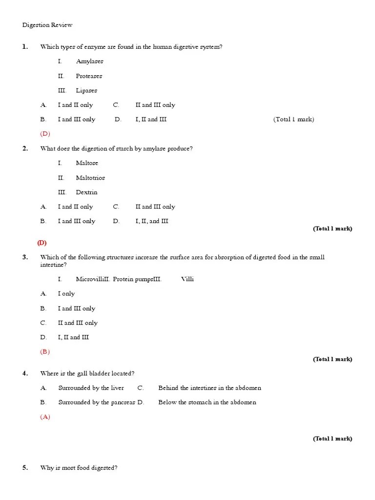 IB Biology Review Digestion | PDF | Digestion | Human Digestive System