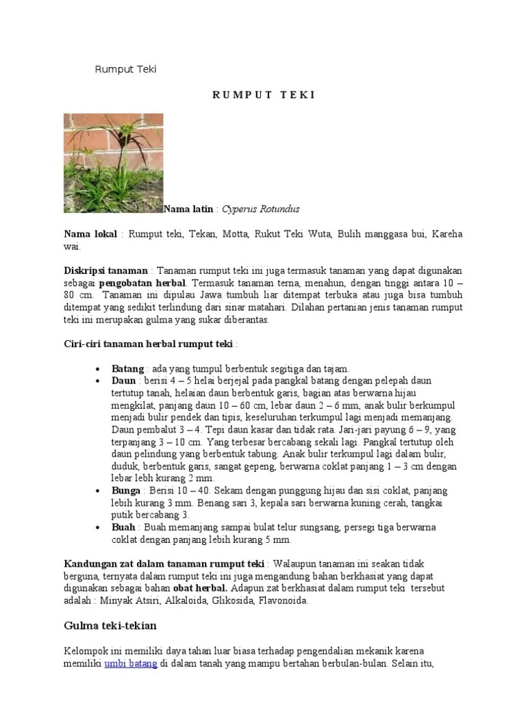 Rumput Teki | PDF