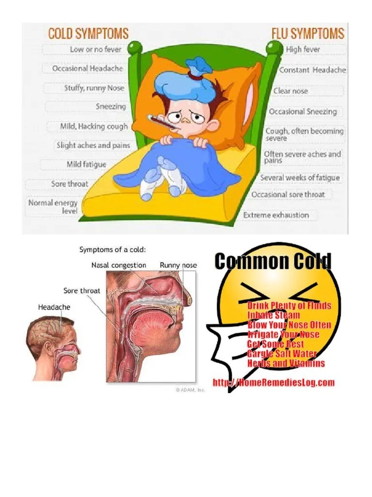 Common Cold PDF
