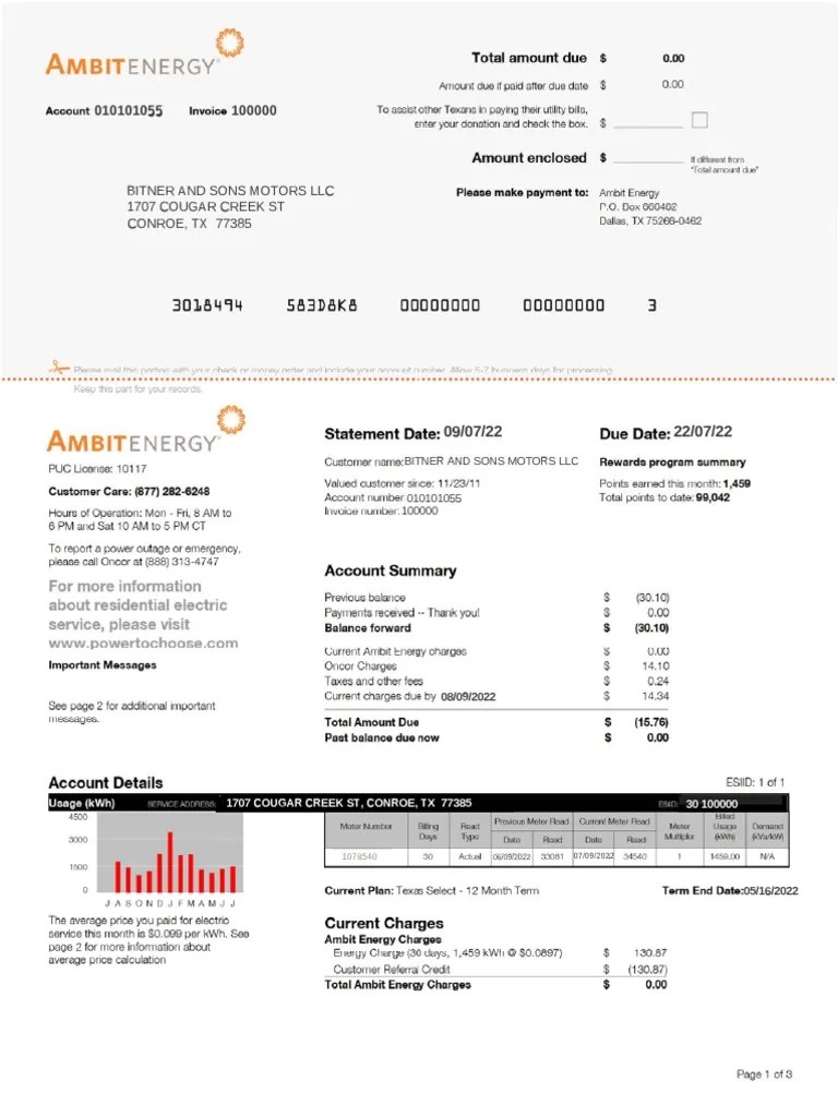 Texas Utility Bill PDF