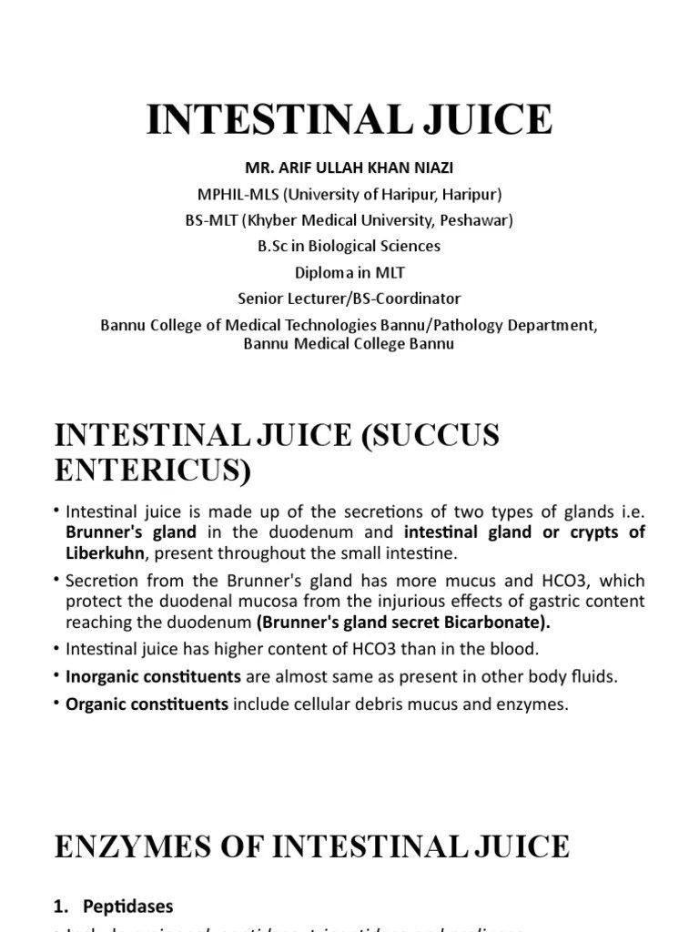 Intestinal Juice PDF Digestion Stomach