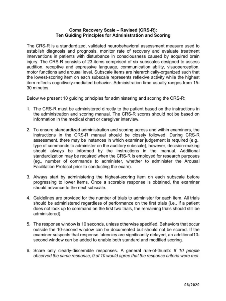 10 Principios Rectores CRSR PDF Coma Caregiver