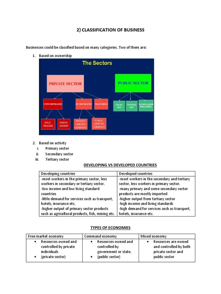 Classification of Businesses Lesson 2 PDF