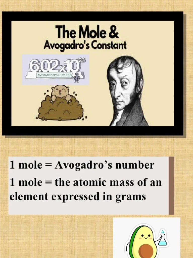 Avogadro S Number PDF Mole (Unit) Gases