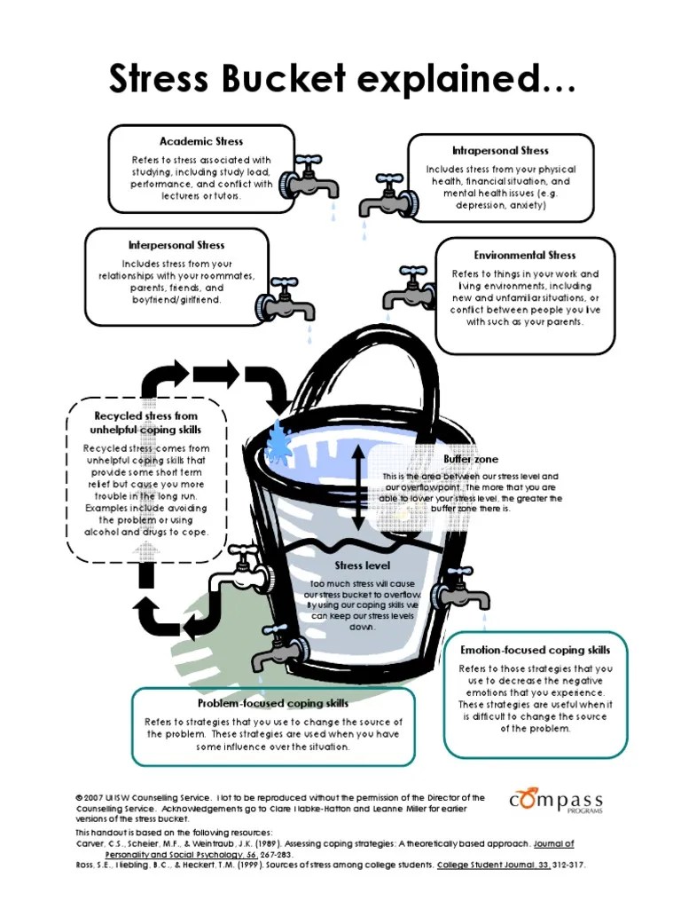 Stress Bucket PDF Stress (Biology) Anxiety