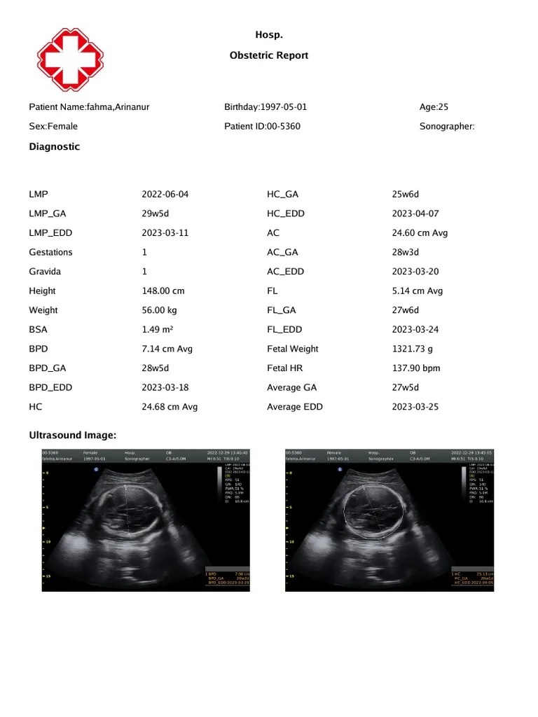Usreport005360 Obstetric Report PDF