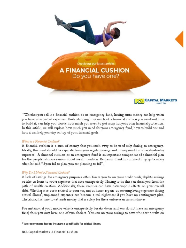 Financial Cushion PDF Debt Expense