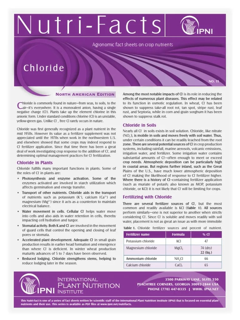 Understanding the Importance of Chloride as a Plant Nutrient Roles