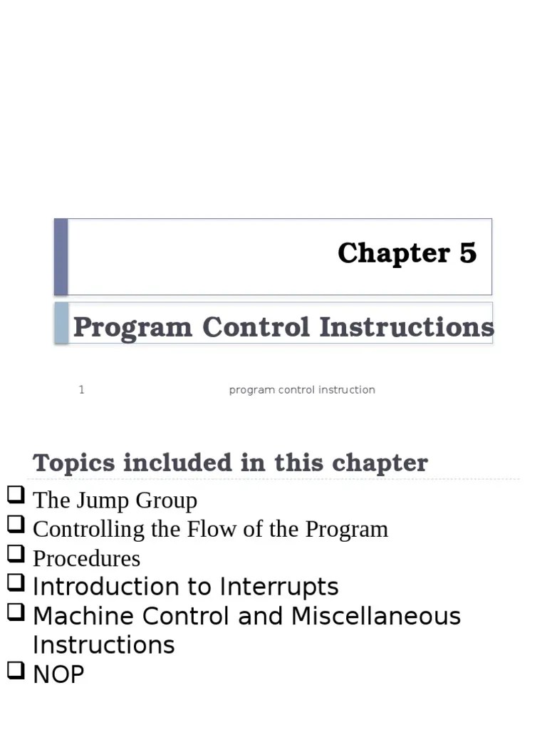 Program Control Instructions Explained PDF Control Flow Assembly